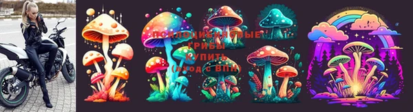 МДПВ Алзамай