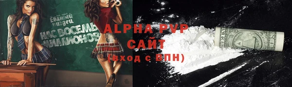 прущие грибы Саяногорск