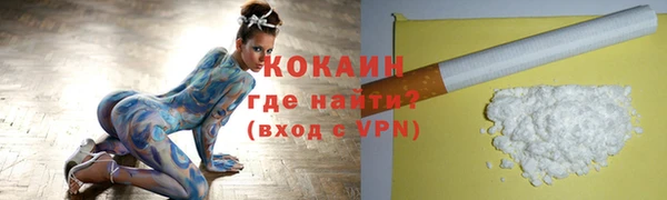 дмт Рославль