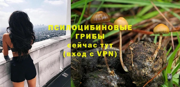 синтетический гашиш Алексин