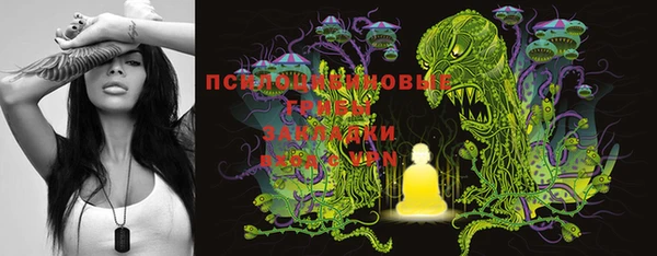 синтетический гашиш Алексин