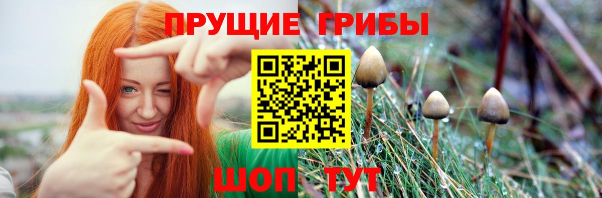 магазин продажи   Галлюциногенные грибы Magic Shrooms  Вход с VPN  Галлюциногенные грибы мухоморы  Павлово 